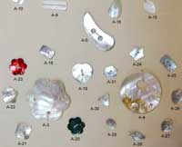 Shell Buttons